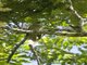 Image from 2025-02-04