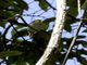 Image from 2025-02-04