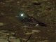 Image from 2025-02-04