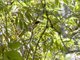 Image from 2025-02-04