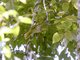 Image from 2025-02-04