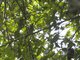 Image from 2025-02-06