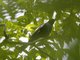 Image from 2025-02-07