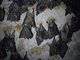 Image from 2025-02-07