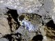 Image from 2025-02-07