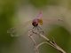Image from 2025-02-07