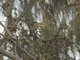 Image from 2025-02-09