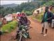 Birding by Motorbike by Barbara Carr