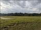 Arusha Swamp by Barbara Carr