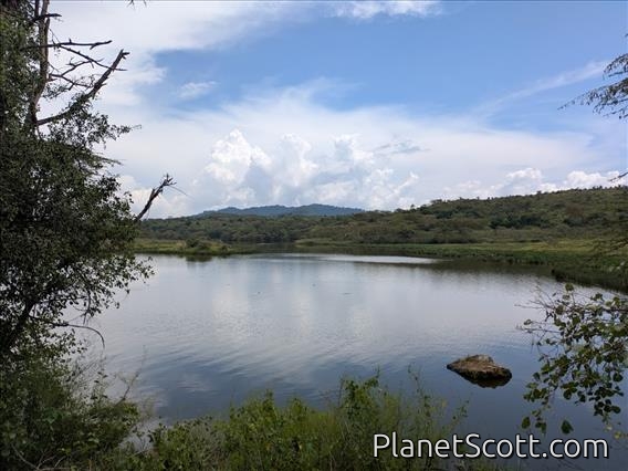 Small Momela Lake by Barbara Carr