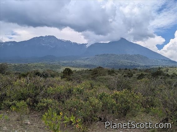 Snow-dusted Mount Meru