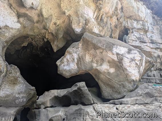 Amboni Cave