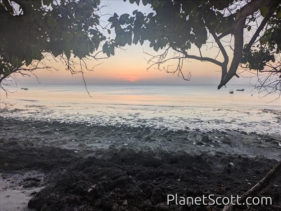 Pemba Sunset by Barbara Carr