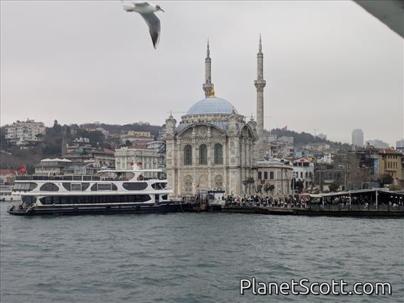 Istanbul by Barbara Carr