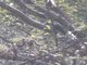 Image from 2025-03-26