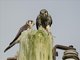 American Kestrel (Falco sparverius)