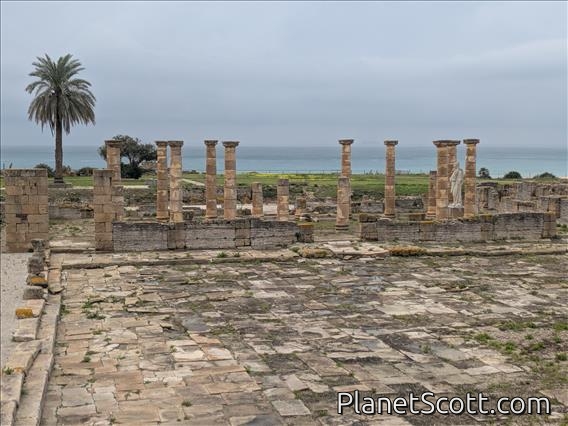 Bolonia