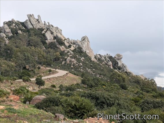 Bolonia Hillside