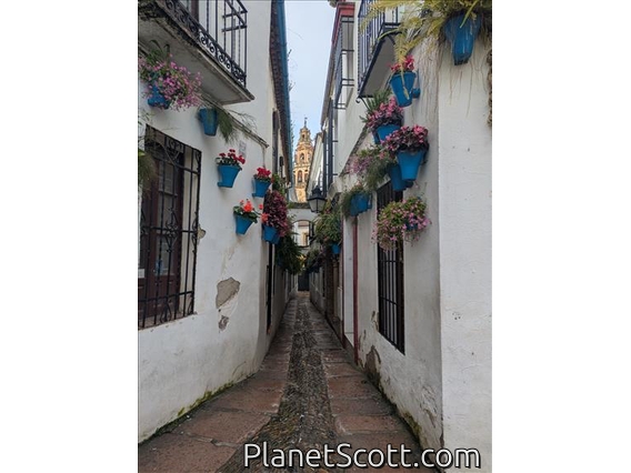 Cordoba