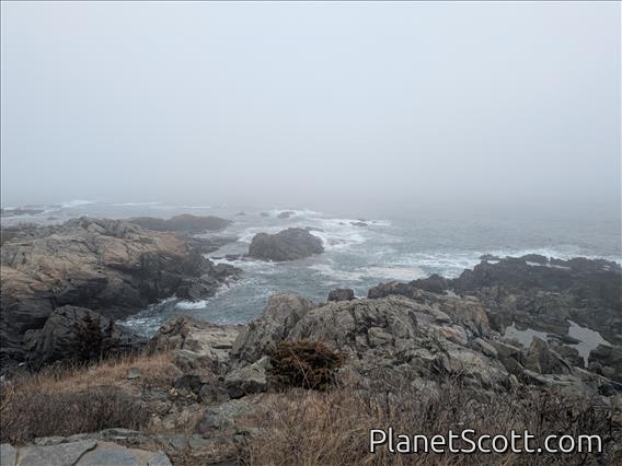 Ogunquit