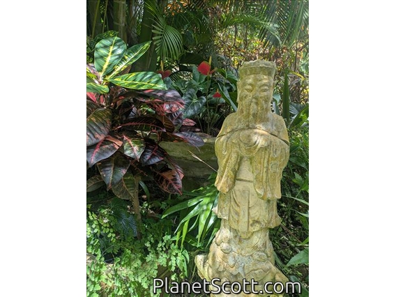 Hunte's Gardens