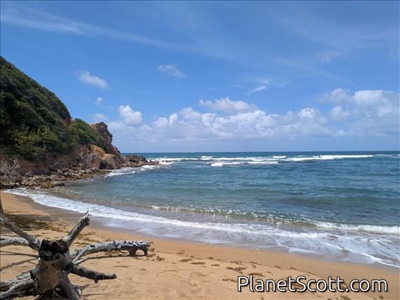 Martinique