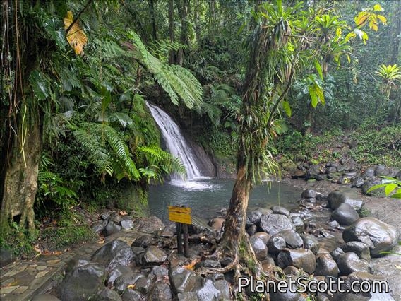 Guadeloupe