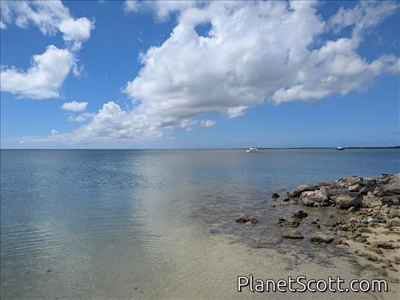 Codrington