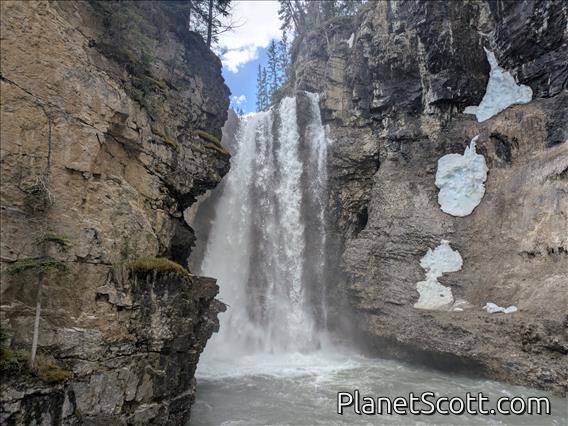 Johnston Canyon