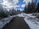 Peyto Lake Trail