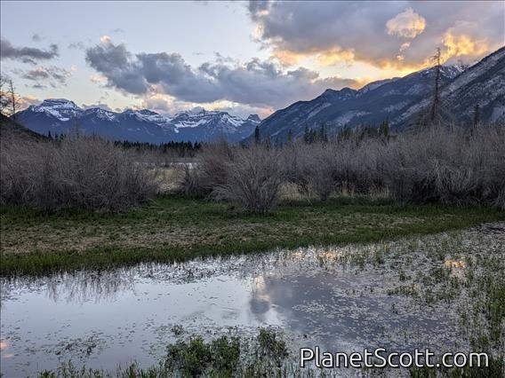 Cave and Basin Marsh