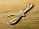 Plume Moth (Pterophoridae sp)