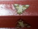 Groundling Moth (Condica imitata)
