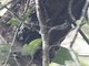 Image from 2025-07-09