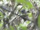 Image from 2025-07-09