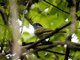 Image from 2025-07-09