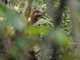 Image from 2025-07-09