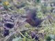 Image from 2025-07-12