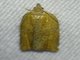 Tortricid Leafroller Moth (Tortricidae sp)