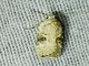 Poison Hemlock Moth (Agonopterix alstroemeriana)