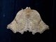 Tussock Moth (Arctornis tortricoides)