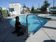 Barbara puts her feet in the pool
