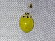 Yellow Ladybird Beetle (Illeis koebelei)