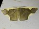 Geometer Moth (Plutodes costatus)