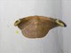 Geometer Moth (Geometridae sp)