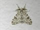 Tussock Moth (Lymantria subrosea)