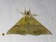 Erebid Moth (Sympis rufibasis)