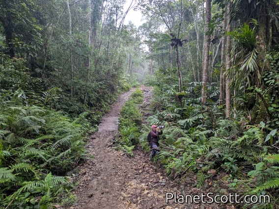 Scott Looking For a Bird