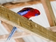 Crimson Rosella (Platycercus elegans)