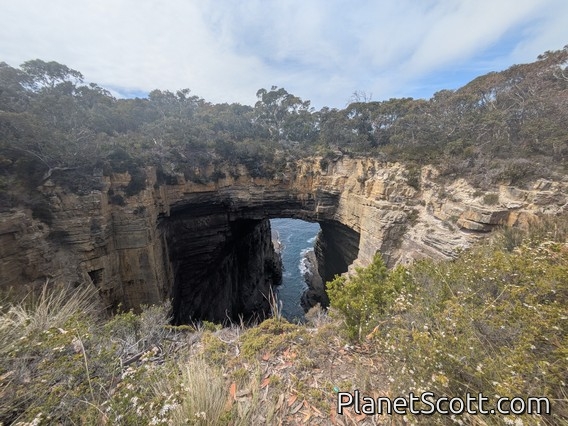 Eaglehawk Neck Natural Bridge
